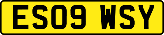 ES09WSY