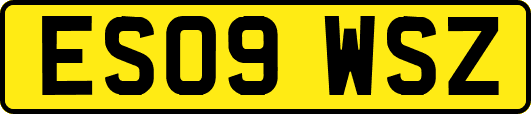 ES09WSZ