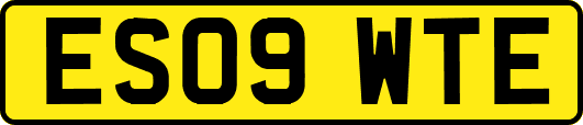 ES09WTE
