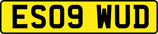 ES09WUD
