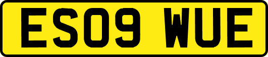 ES09WUE