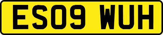 ES09WUH