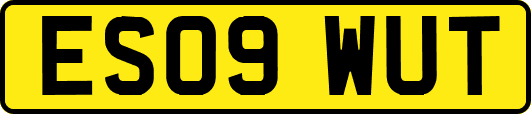 ES09WUT
