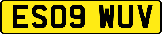 ES09WUV