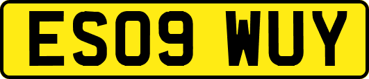 ES09WUY