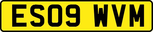 ES09WVM