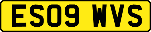 ES09WVS