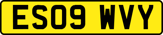 ES09WVY