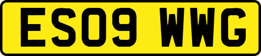 ES09WWG