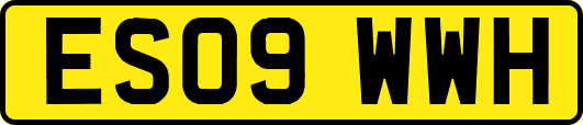 ES09WWH