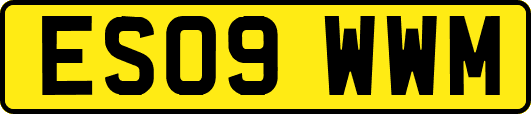ES09WWM