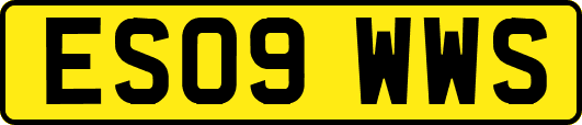 ES09WWS
