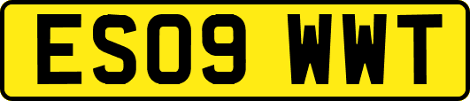 ES09WWT