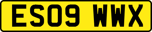 ES09WWX