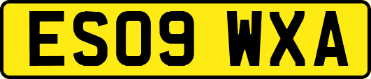 ES09WXA