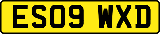 ES09WXD