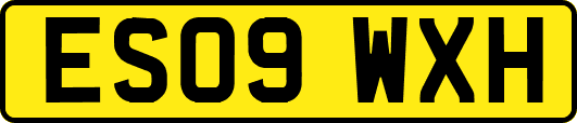 ES09WXH