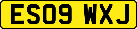 ES09WXJ