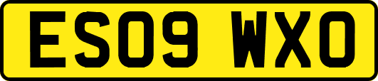 ES09WXO