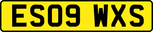 ES09WXS