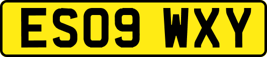 ES09WXY