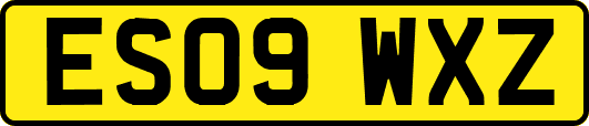 ES09WXZ