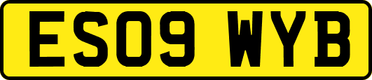 ES09WYB