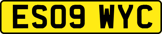 ES09WYC