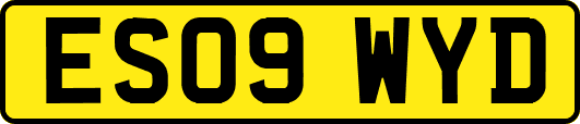 ES09WYD