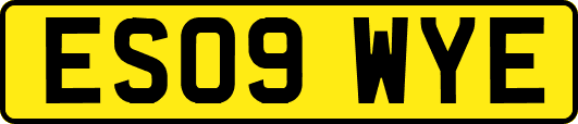 ES09WYE