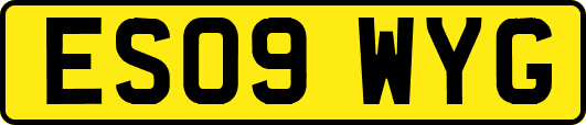 ES09WYG