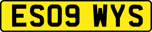 ES09WYS