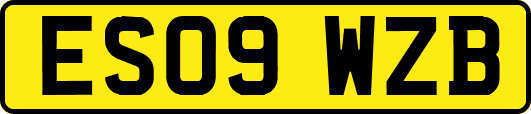 ES09WZB