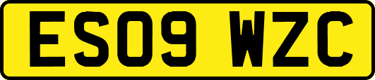 ES09WZC