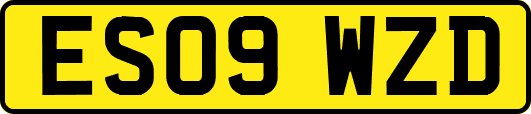 ES09WZD