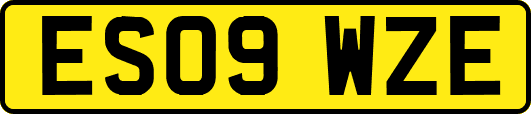 ES09WZE