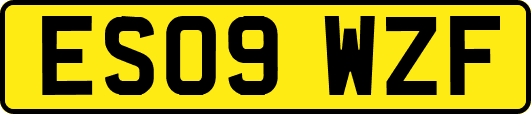 ES09WZF
