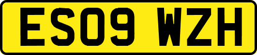 ES09WZH