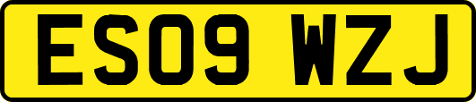 ES09WZJ