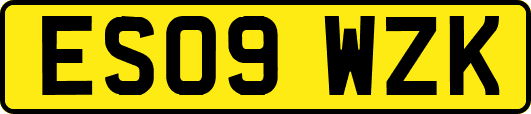 ES09WZK