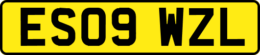 ES09WZL