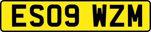 ES09WZM
