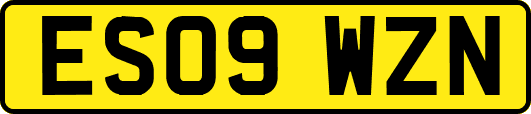 ES09WZN