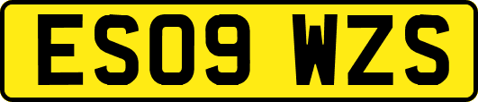 ES09WZS