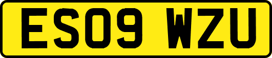 ES09WZU