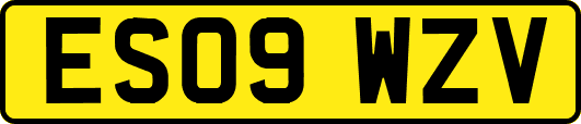 ES09WZV