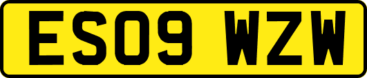 ES09WZW