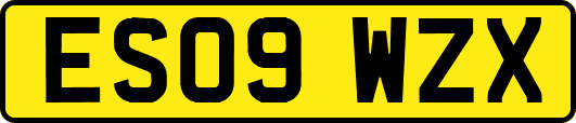 ES09WZX