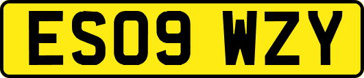 ES09WZY