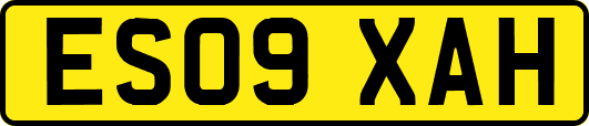 ES09XAH